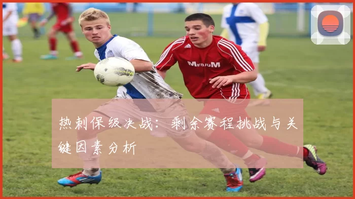 热刺保级决战：剩余赛程挑战与关键因素分析