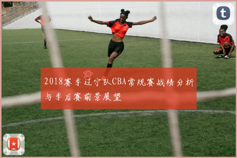 2018赛季辽宁队CBA常规赛战绩分析与季后赛前景展望