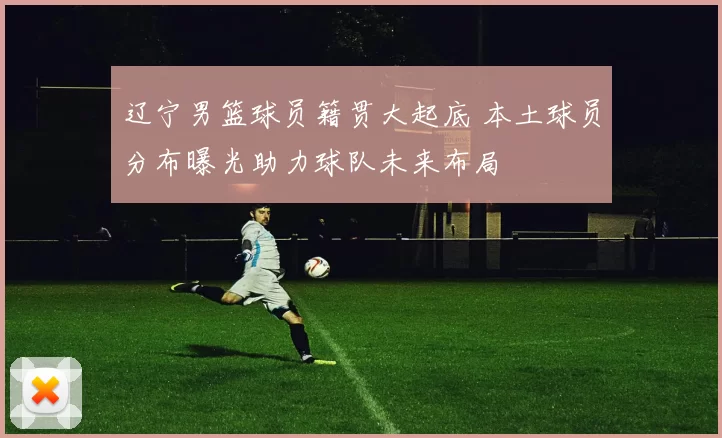 辽宁男篮球员籍贯大起底 本土球员分布曝光助力球队未来布局