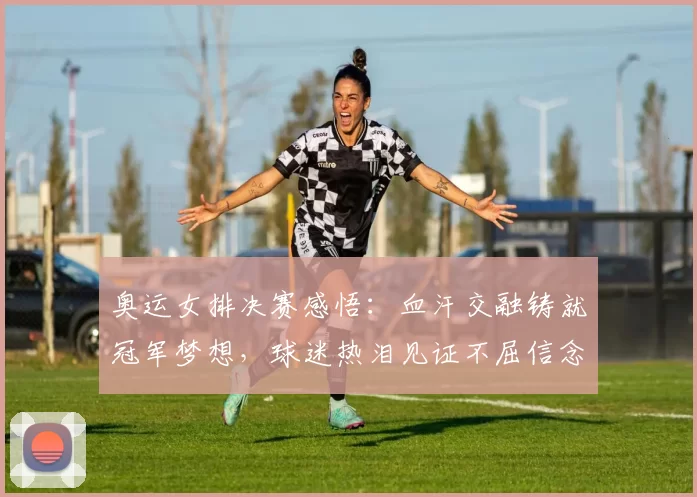 奥运女排决赛感悟：血汗交融铸就冠军梦想，球迷热泪见证不屈信念坚守