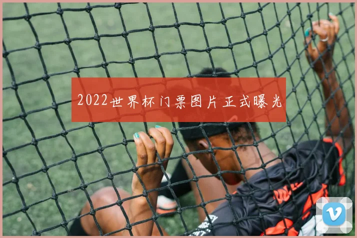 2022世界杯门票图片正式曝光