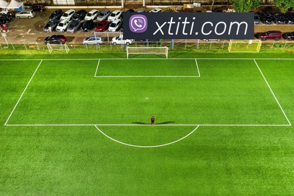 乐鱼在线登录官网平台生态图